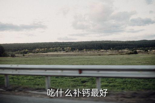 什么食物補(bǔ)鈣效果最好，吃什么補(bǔ)鈣最好