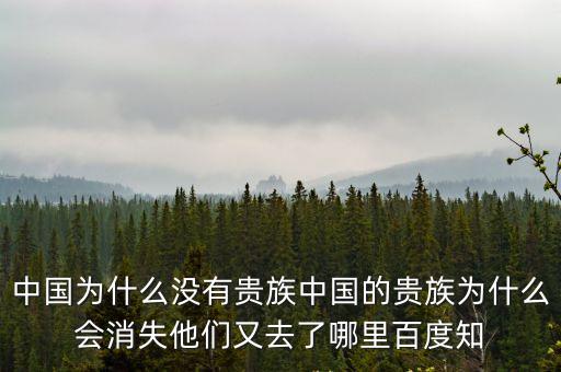 中國貴族，中國為什么沒有貴族中國的貴族為什么會消失他們又去了哪里百度知