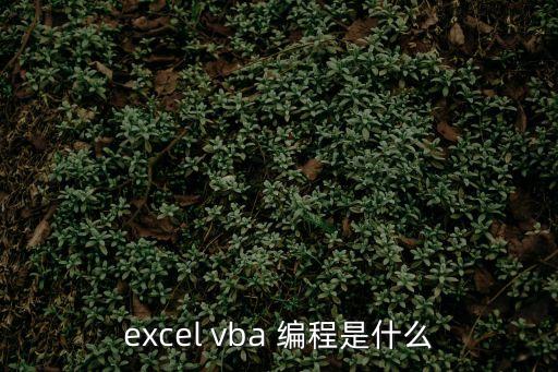 vba編程，excel vba 編程是什么