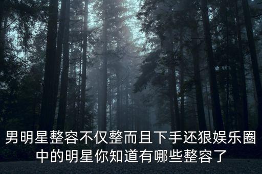整容明星，公開(kāi)承認(rèn)整容的男明星除了胡歌之外還有哪些明星呢