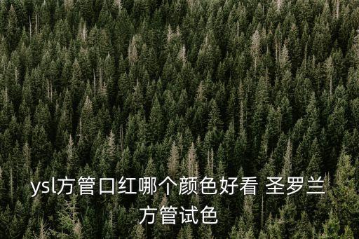 ysl方管，ysl方管口紅哪個顏色好看 圣羅蘭方管試色