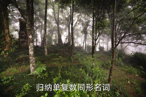 單復數同形，英語中單復數同形是什么意思