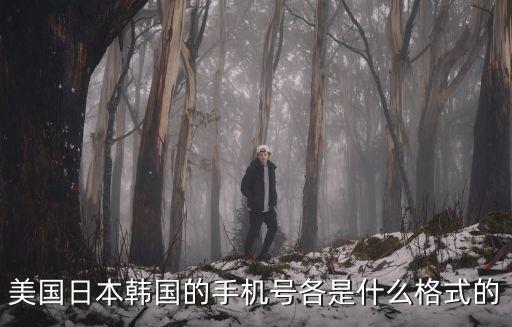 美國(guó)電話號(hào)碼格式，美國(guó)日本韓國(guó)的手機(jī)號(hào)各是什么格式的