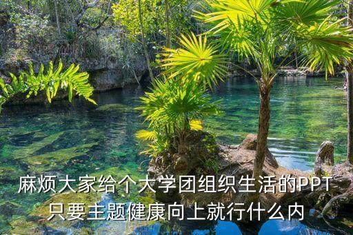 團會ppt模板，麻煩大家給個大學團組織生活的PPT只要主題健康向上就行什么內