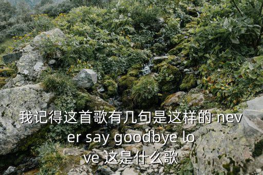 我記得這首歌有幾句是這樣的 never say goodbye love 這是什么歌