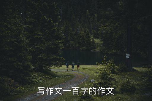 100字作文，作文100字