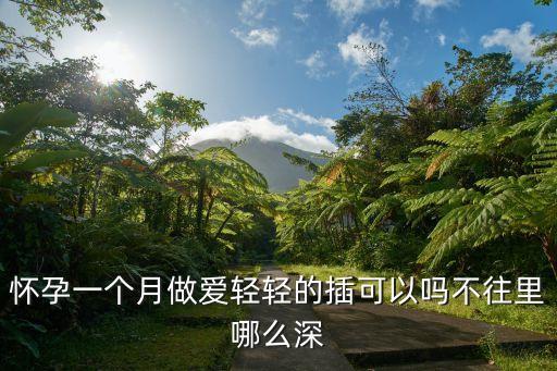 輕輕插，懷孕一個(gè)月做愛輕輕的插可以嗎不往里哪么深