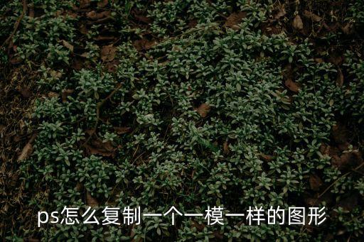 ps怎么復制一個一模一樣的圖形