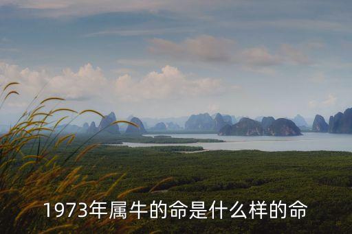 1973年屬牛的命是什么樣的命