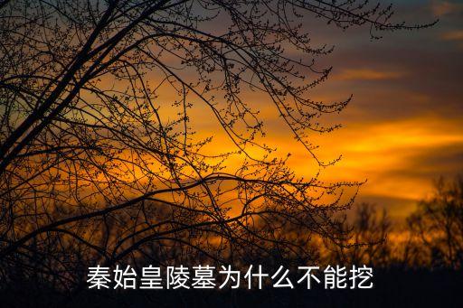 秦始皇陵墓為什么不挖，秦始皇陵墓為什么不能挖