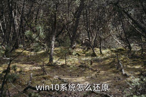 win10還原，windows10 怎么系統(tǒng)還原
