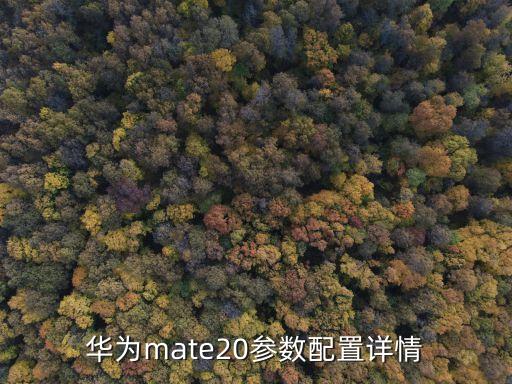 華為mate20配置參數(shù)，華為mate20詳細參數(shù)