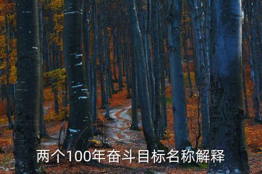 兩個100年奮斗目標名稱解釋