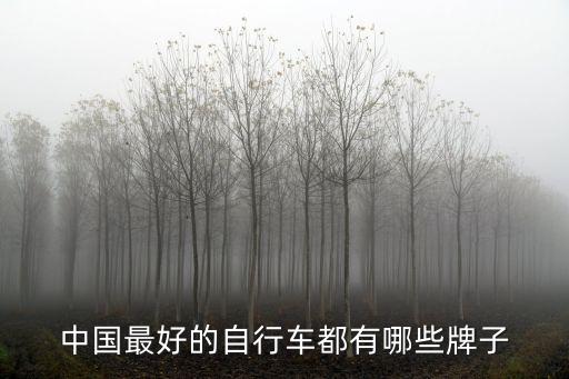 國產自行車品牌，國產山地自行車哪個品牌比較好