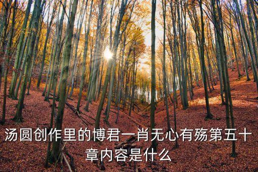 無心有殤，湯圓創作里的博君一肖無心有殤第五十章內容是什么