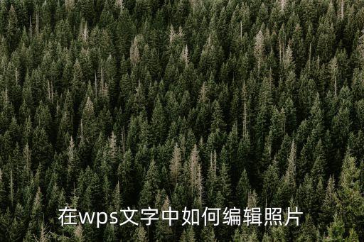 wps圖片編輯，wps怎么編輯圖片