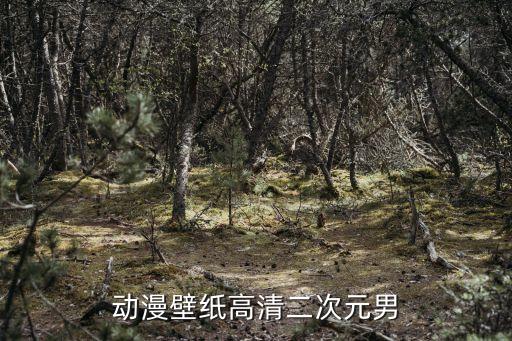 二次元壁紙男生，手機壁紙動漫男生圖片