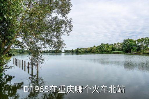 d1965，D1965一共有多少節車廂