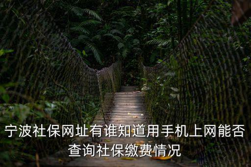 寧波社保官網，寧波社保網址有誰知道用手機上網能否查詢社保繳費情況