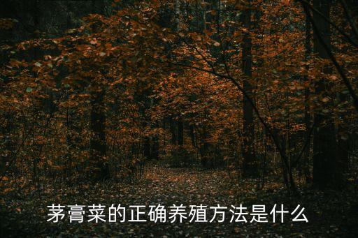 茅膏菜的正確養殖方法是什么