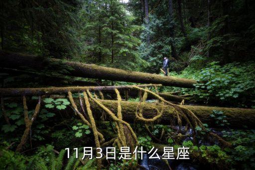 十一月三號是什么星座，11月3日是什么星座