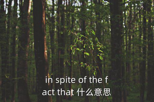 inspite，in spite