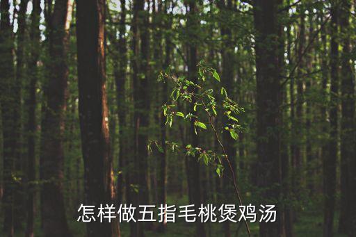 五指毛桃雞湯，五指毛桃燉雞湯怎么做