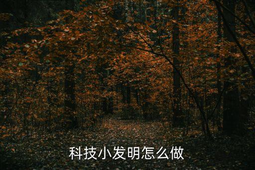 科技小發(fā)明怎么做
