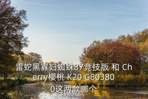 雷蛇黑寡婦蜘蛛，雷蛇的機械鍵盤黑寡婦蜘蛛