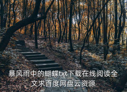 暴風(fēng)雨中的蝴蝶，暴風(fēng)雨中的蝴蝶txt下載在線閱讀全文求百度網(wǎng)盤云資源