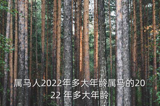 屬馬人2022年多大年齡屬馬的2022 年多大年齡