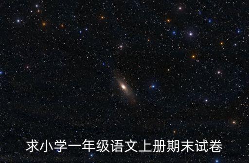 一年級語文上冊試卷題，小學一年級語文試題