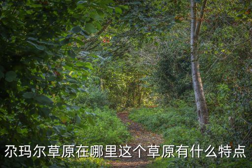 尕瑪爾草原，尕瑪爾草原在哪里這個草原有什么特點