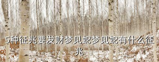 5種征兆要發財夢見蛇夢見蛇有什么征兆