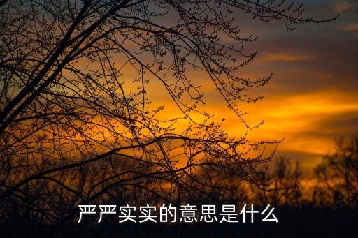 嚴嚴實實的意思，嚴嚴實實的意思是什么