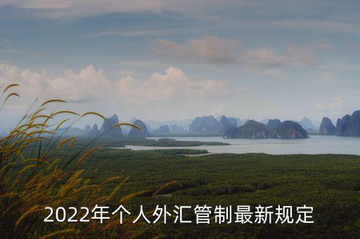 中國(guó)外匯管制，2022年個(gè)人外匯管制最新規(guī)定