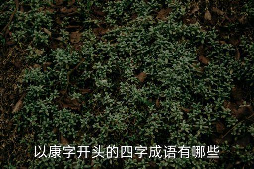 康字開頭的成語，以康字打頭的成語有哪些