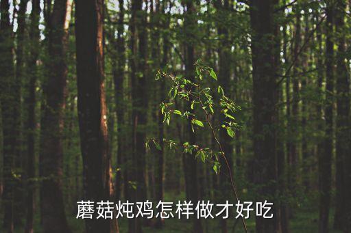蘑菇雞，蘑菇燉雞怎樣做才好吃