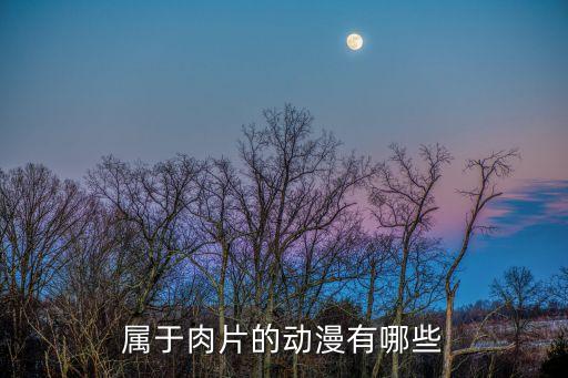 日本動(dòng)漫十大肉片，屬于肉片的動(dòng)漫有哪些