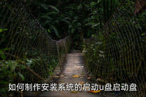系統啟動u盤制作，如何用u盤做啟動盤