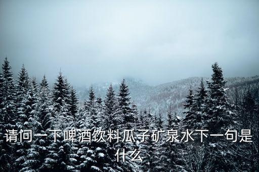 請問一下啤酒飲料瓜子礦泉水下一句是什么