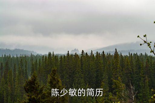 陳少敏的簡歷