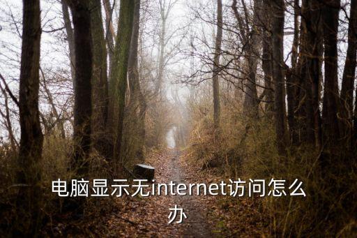 電腦無internet訪問，電腦顯示無internet訪問怎么辦
