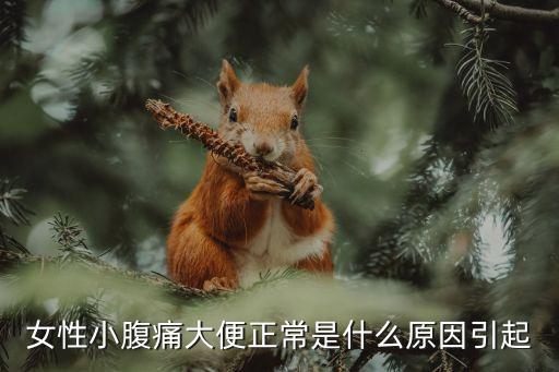 女性小腹痛大便正常是什么原因引起