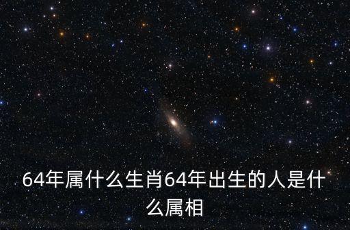 64年屬啥，64年是屬什么生肖的