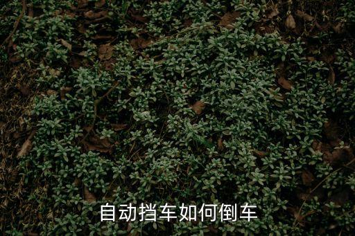 自動擋倒車，自動擋汽車怎么倒車
