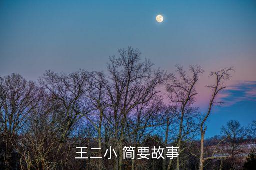 王二小 簡要故事