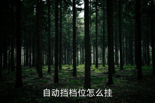 自動(dòng)擋檔位怎么掛