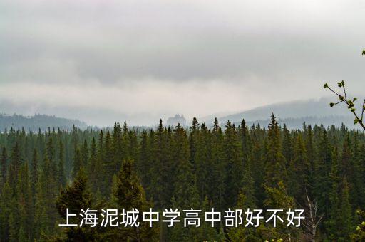 上海泥城中學高中部好不好