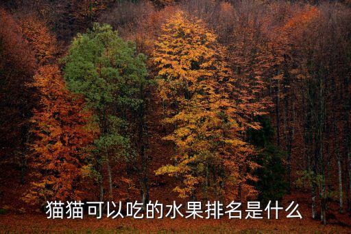 貓貓可以吃的水果排名是什么